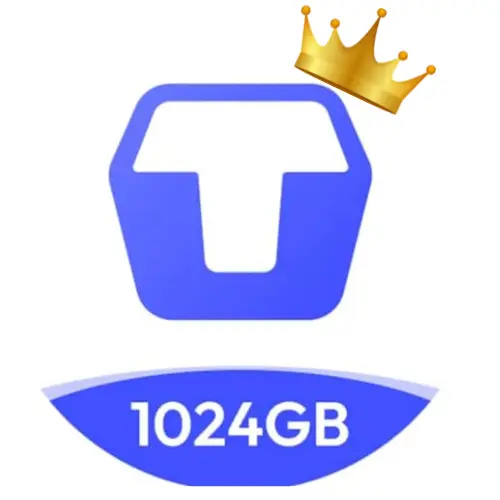 Terabox logo 1024 GB with Crown