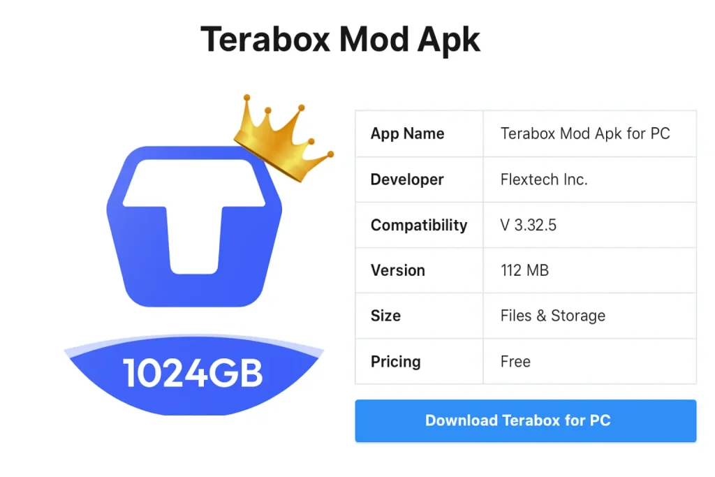 Terabox for pc download overview
