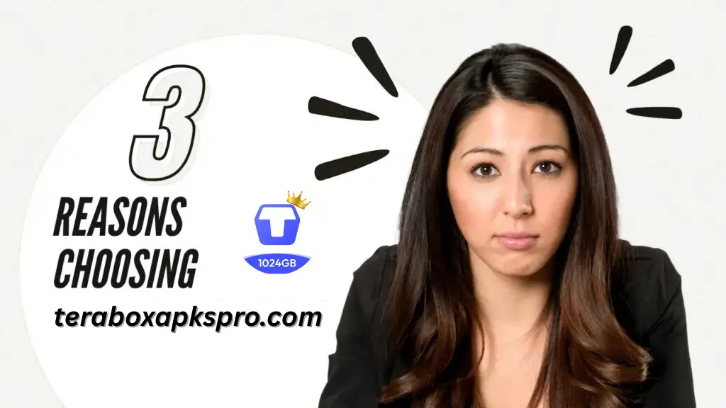 reason choosing the teraboxapkspro.com with logo